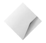 Website Videos