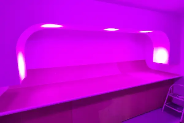 Building of Studio Exposja