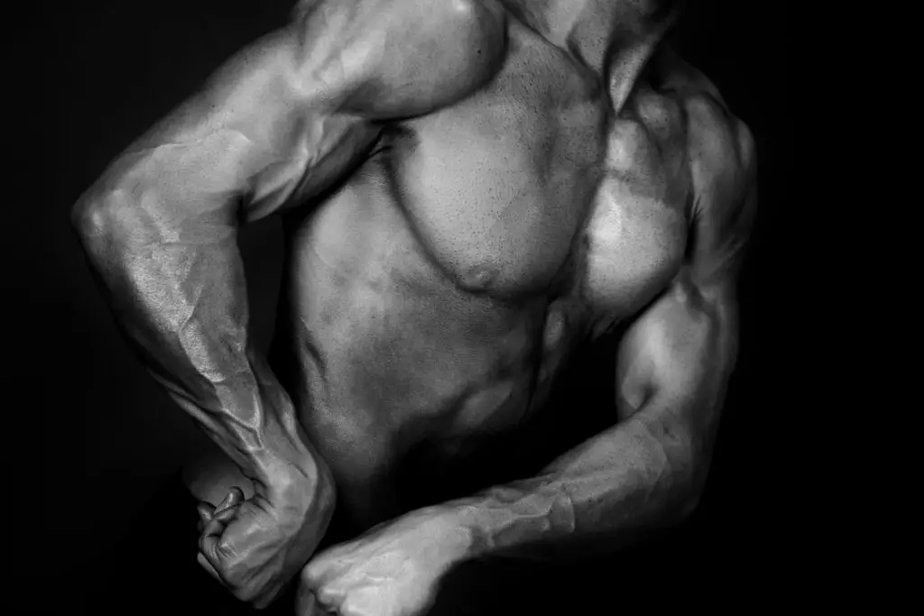 Muscular physique photo of body builder male at Studio Exposja by Exposja Photography in Melbourne